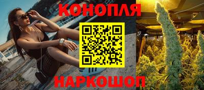 a pvp Шебекино
