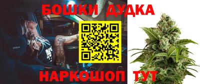 шишки Шахты