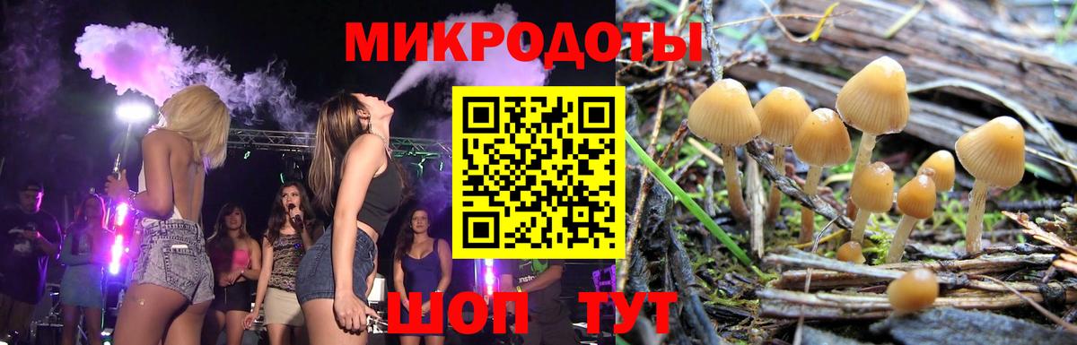 Псилоцибиновые грибы мухоморы  где купить наркоту  Выборг  Галлюциногенные грибы GOLDEN TEACHER  Вход с VPN 