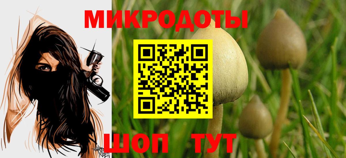 Псилоцибиновые грибы Psilocybine cubensis Выборг